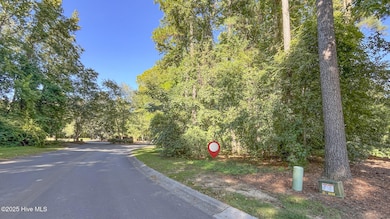 111 Cherry Laurel Dr, Wallace, NC 28466 - photo 3