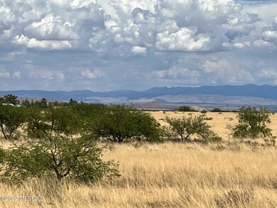View east