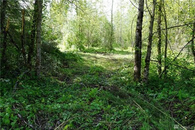 2020 394th St S, Roy, WA 98580 - photo 5