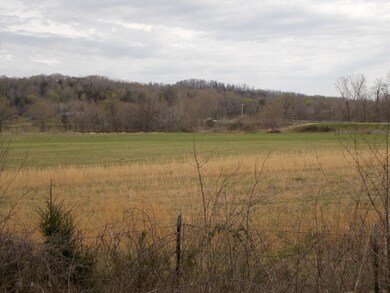 11 Kelly Landing Rd, Linden, TN 37096 - photo 4