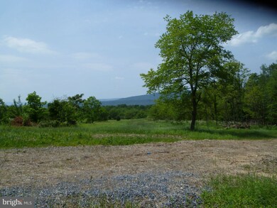 0 Magnolia unit 1000168213, Paw Paw, WV 25434 - photo 3