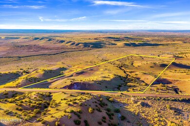 37297 Arizona 61, Concho, AZ 85924 - photo 3