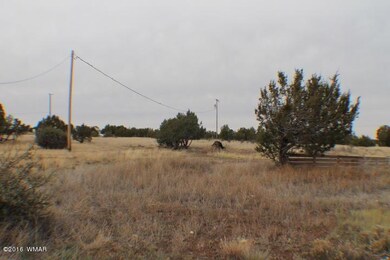 1397 Bourdon Ranch Rd, Show Low, AZ 85901 - photo 5