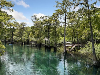 28262 29th Loop, Branford, FL 32008 - photo 5