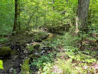 Stream