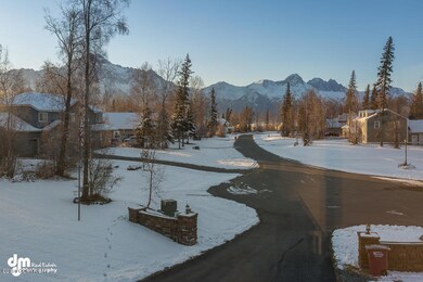 View_DMD_8790-SMALL[1]