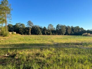 00 Peterson Ave unit Tract A -B, Douglas, GA 31533 - photo 3