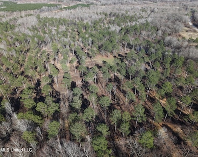 dji_fly_20250224_152832_0079_17404429800