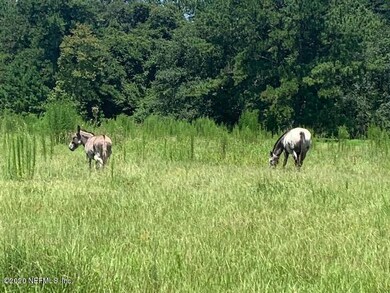 0 Lucky Ln unit 1068157, Middleburg, FL 32068 - photo 2
