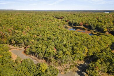 11-web-or-mls-DJI_0347