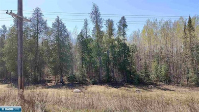 TBD Hwy 115, Tower, MN 55790 - photo 3