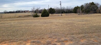 Lot 22 Bay Creek Ln, Gordonville, TX 76245 - photo 6