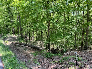 0 Hwy 163 unit 1512095, Calhoun, TN 37309 - photo 2