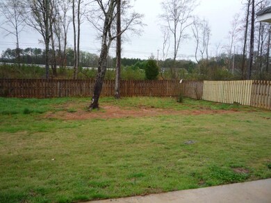 Back yard