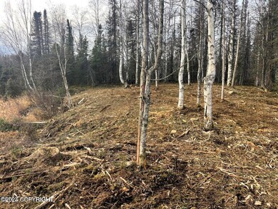 48555 Rainbow Ridge Dr, Willow, AK 99688 - photo 4