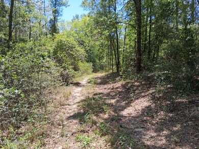 image000000 (5)