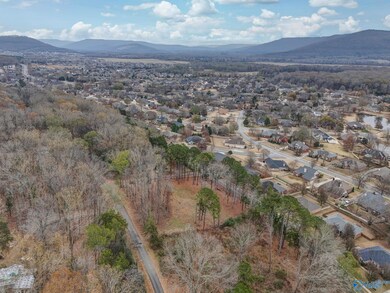 2571 Little Cove Rd, Owens Cross Roads, AL 35763 - photo 5