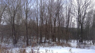 Enjoy snowshoeing, nature walks & area wildlife.
