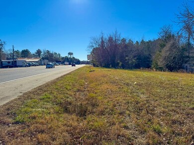 0 unit 56710, South Hill, VA 23970 - photo 5