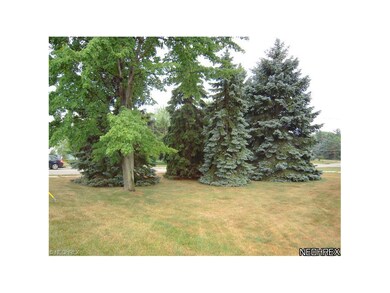 Trees in front of house facing Laurel Rd.