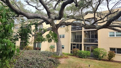 Waters Edge unit 315, Largo, FL 33774 - photo 3