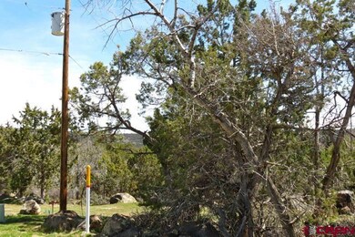 0 NE Ginters Grove Ln unit 703702, Cedaredge, CO 81413 - photo 5