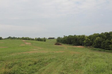 3290 Fords Mill Rd, Versailles, KY 40383 - photo 7