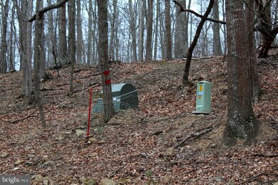 LOT 4 Helmick Rock-Trout Pass Rd, Mathias, WV 26812 - photo 2