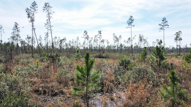 Lot 49 Circle Block Loop, Perry, FL 32348 - photo 5