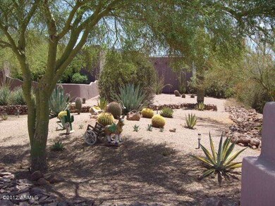 FRONT YARD