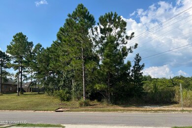 Lot 25
