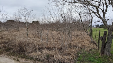 0 Bobwhite unit 84676240, Brookshire, TX 77423 - photo 3