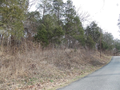 0 Hurricane Creek Rd unit 1710352, Linden, TN 37096 - photo 4