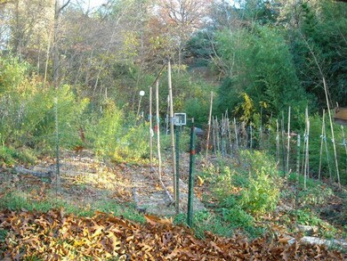 Garden Space