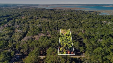 7783 Chaplin Garden Ln, Edisto Island, SC 29438 - photo 3