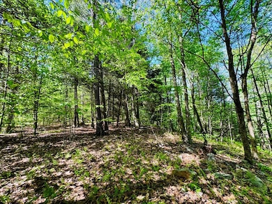 LOT 10 Paradise Rd, Todd Township, PA 16657 - photo 4