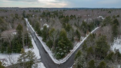 49 chickadee drone-1