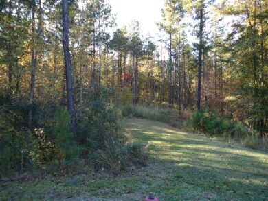 1 Lee Road 2117, Salem, AL 36874 - photo 7