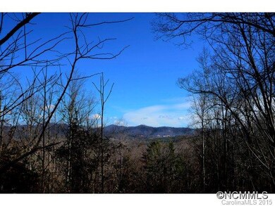 54 Timber Moss Dr, Asheville, NC 28804 - photo 7