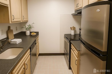 911 Ravens Crest Dr unit 911, Plainsboro, NJ 08536 - photo 4