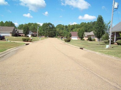 208 Charlene Dr, Byram, MS 39272 - photo 3