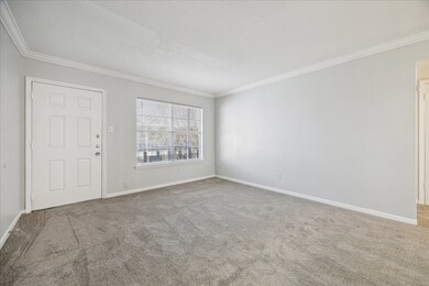 1645 W Main St unit 11, Houston, TX 77006 - photo 4