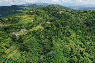 001 Carr 942, Gurabo, PR 00778 - photo 6