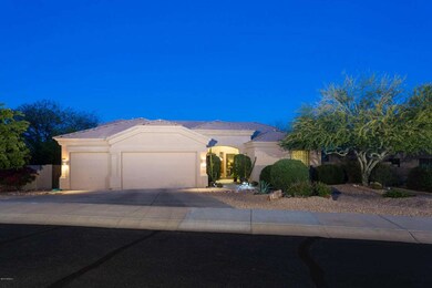 Palo Verde Shade Tree