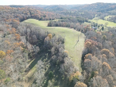 000 Cow Run, Cottageville, WV 25239 - photo 7