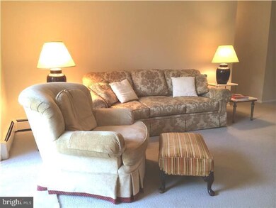 222 E Montgomery Ave unit 101, Ardmore, PA 19003 - photo 2