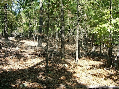 Tract A Rocky Ridge Rd, Mountain Home, AR 72653 - photo 6