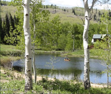 Pond @ Timberlakes 10