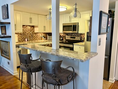 unlisted-address, Chicago, IL 60654 - photo 5