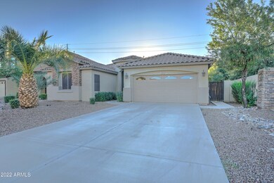 3882 S Eucalyptus Pl-2